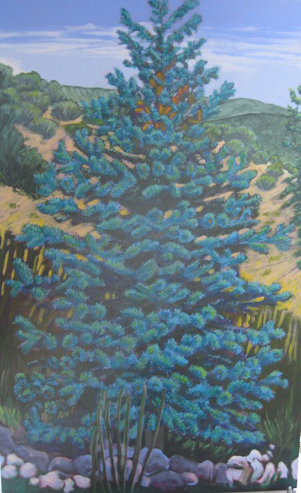 Polly Jackson - Blue Spruce
