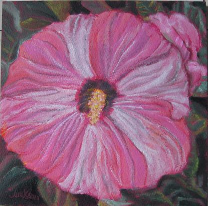 Polly Jackson - Hibiscus Growing By the Zoo